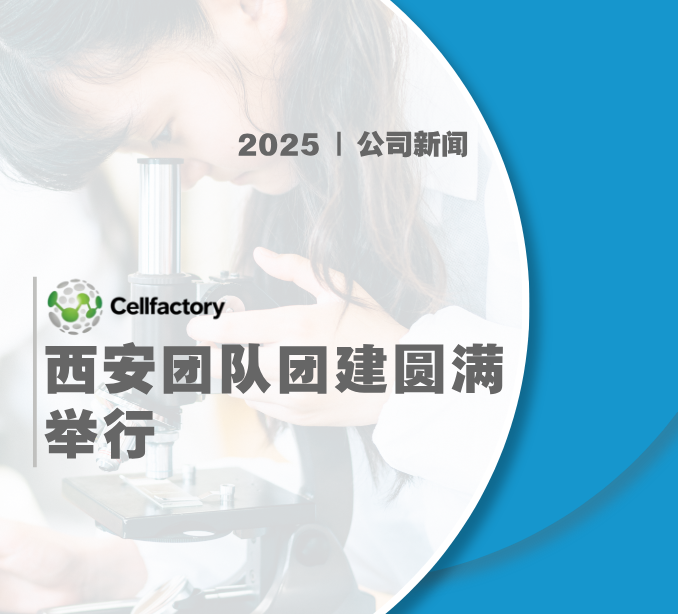 CellFactory西安团队团建圆满举行：科学探索与古都文化交融，共绘细胞治疗新蓝图