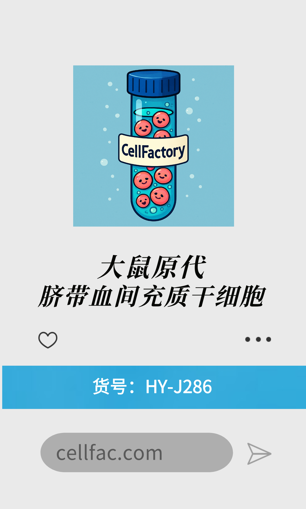  大鼠原代脐带血间充质干细胞