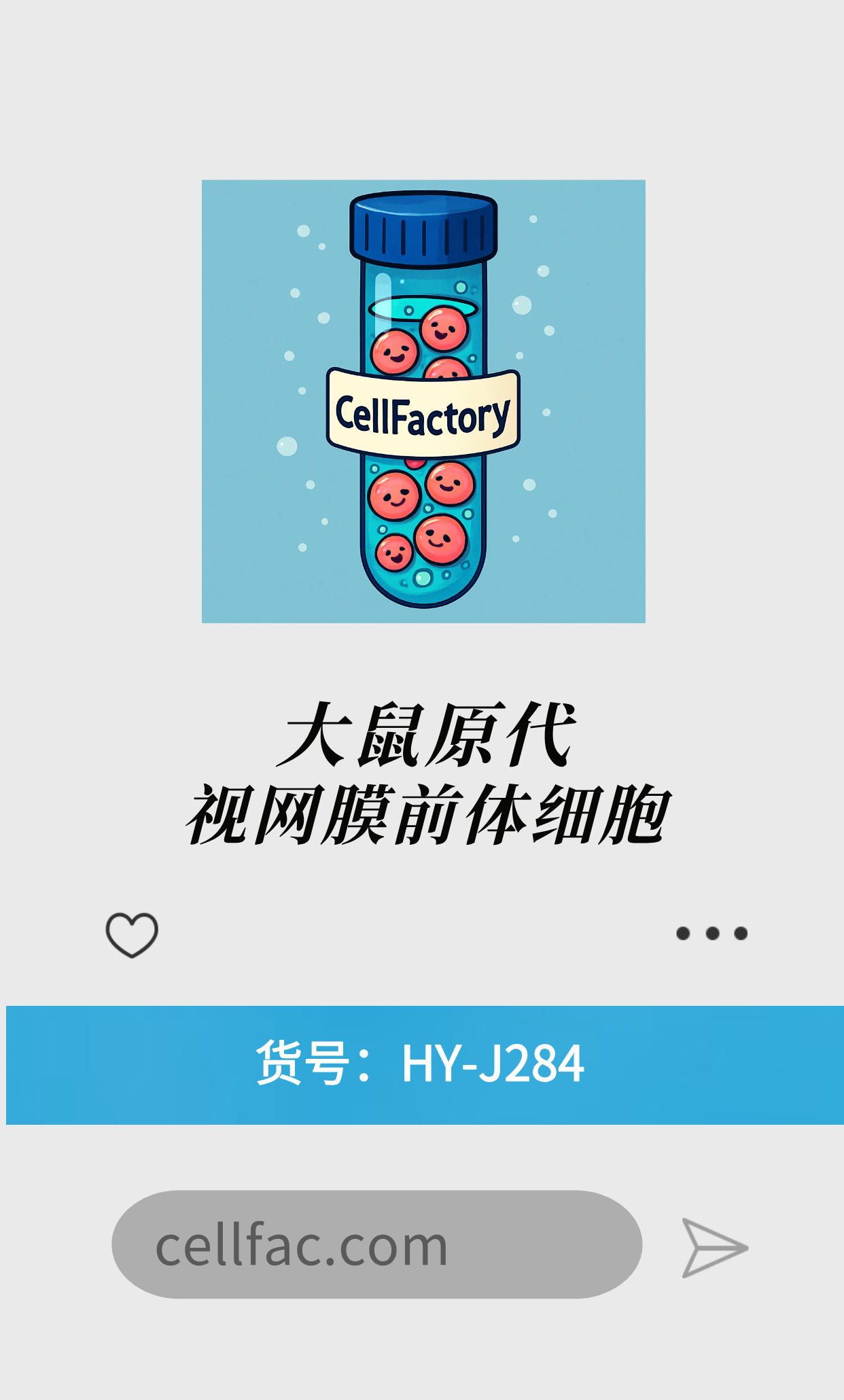  大鼠原代视网膜前体细胞