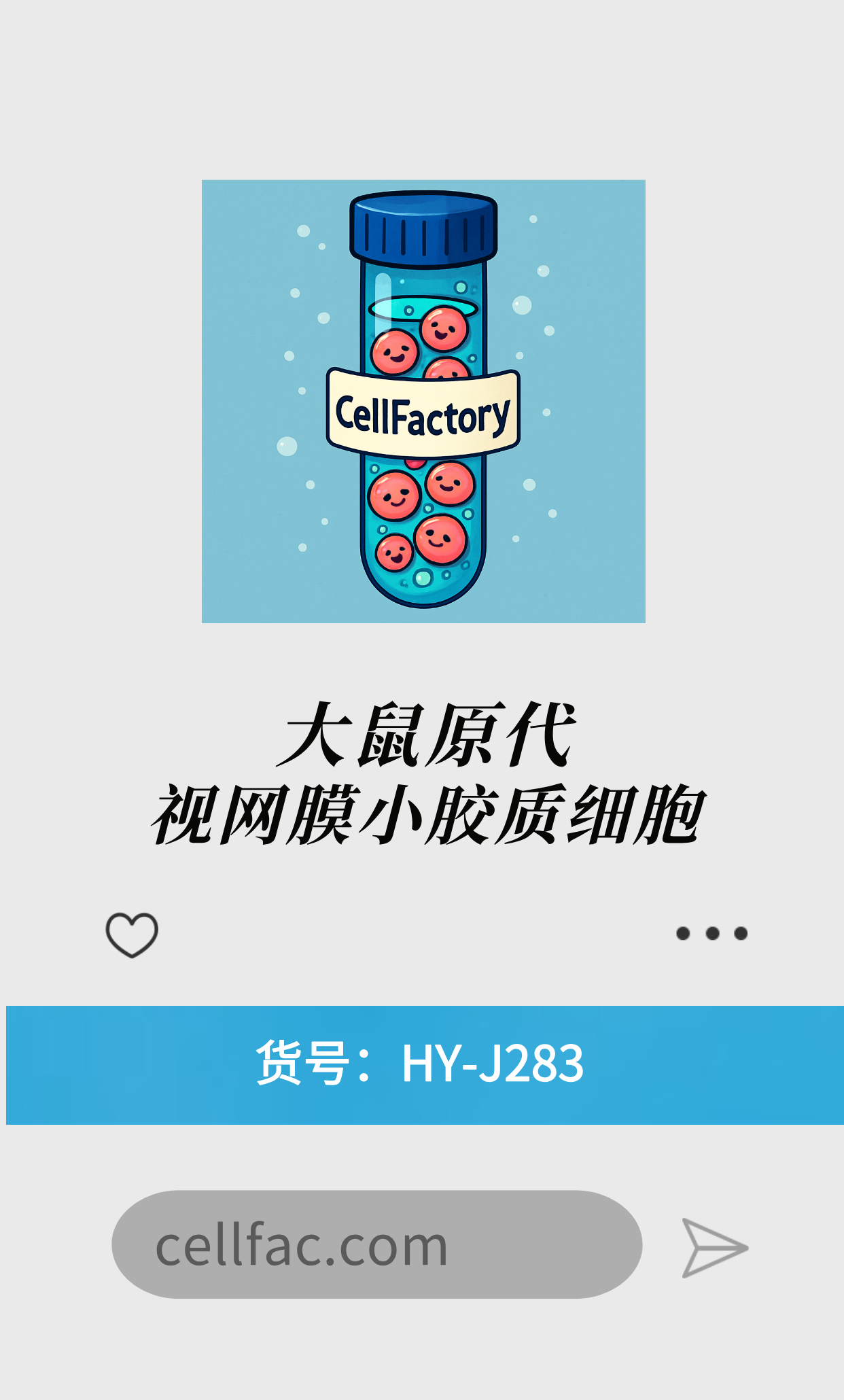  大鼠原代视网膜小胶质细胞
