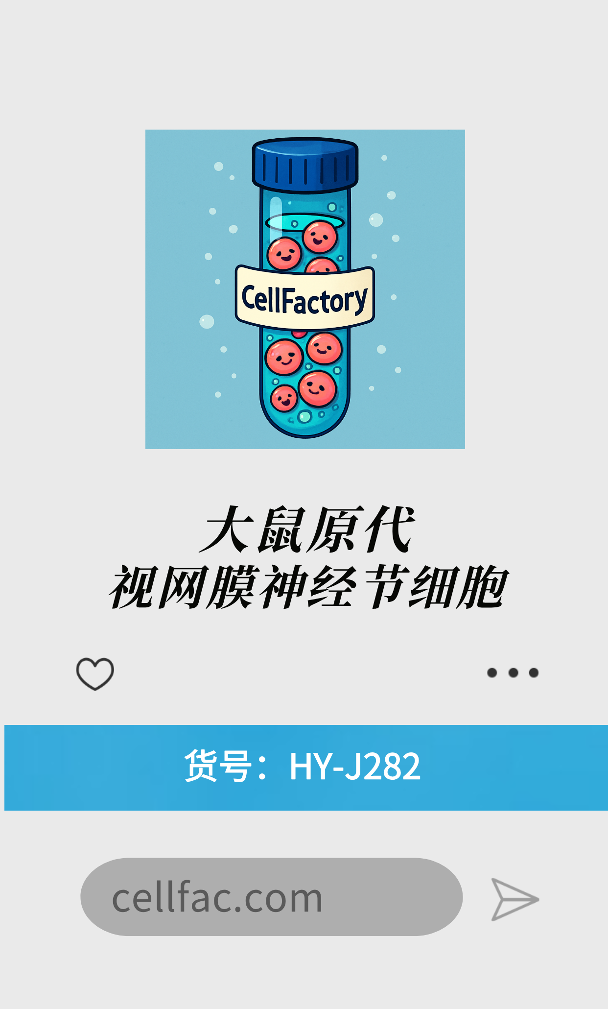  大鼠原代视网膜神经节细胞