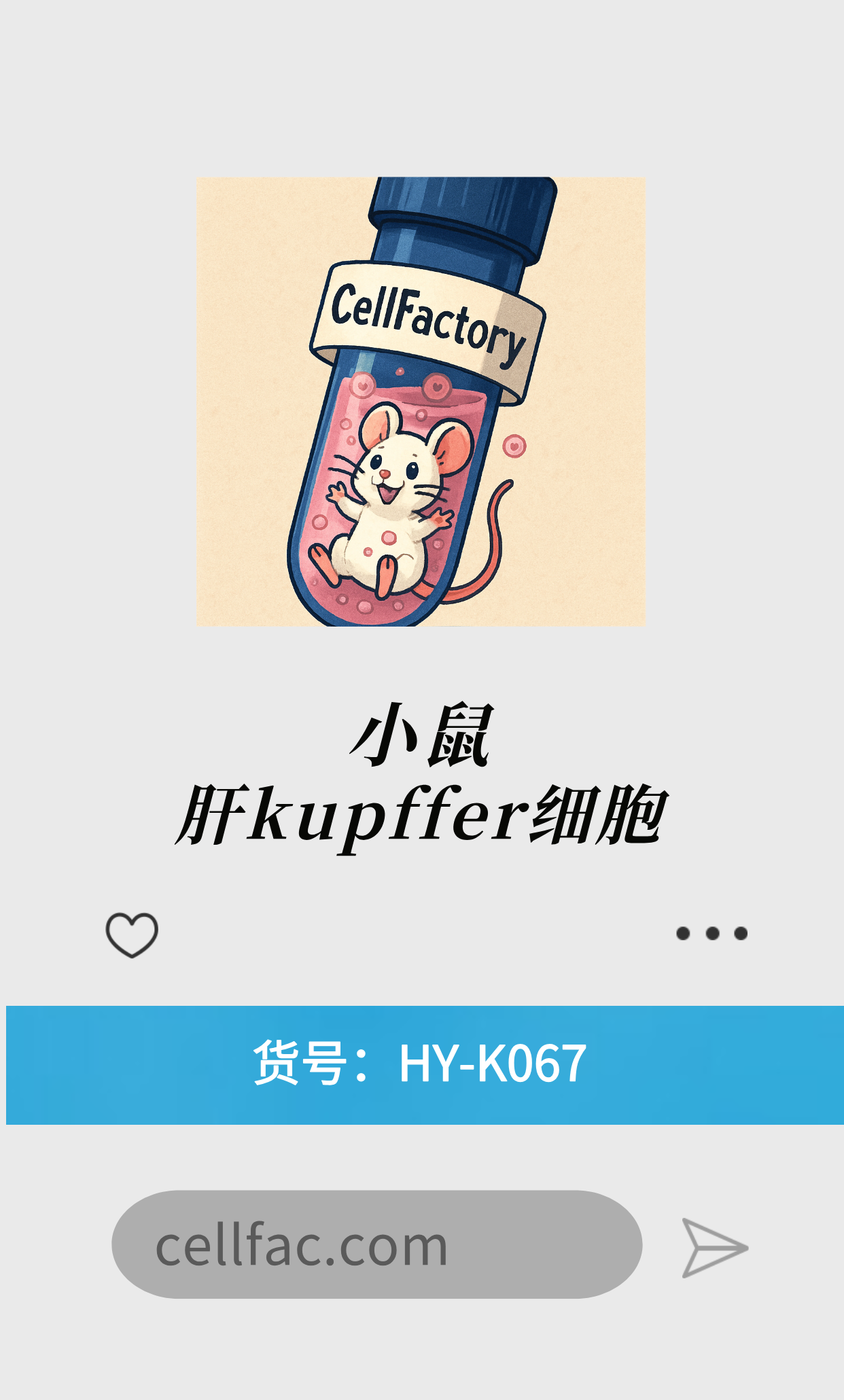  小鼠原代肝kupffer细胞