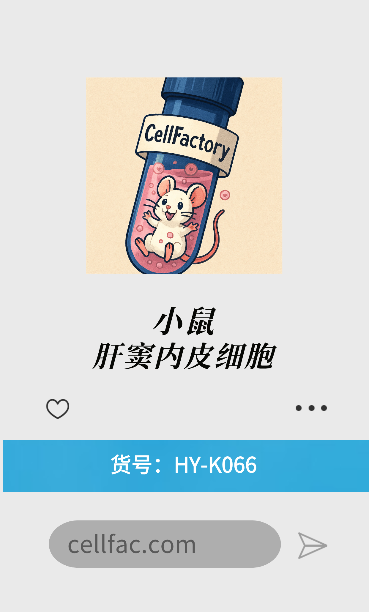  小鼠原代肝窦内皮细胞