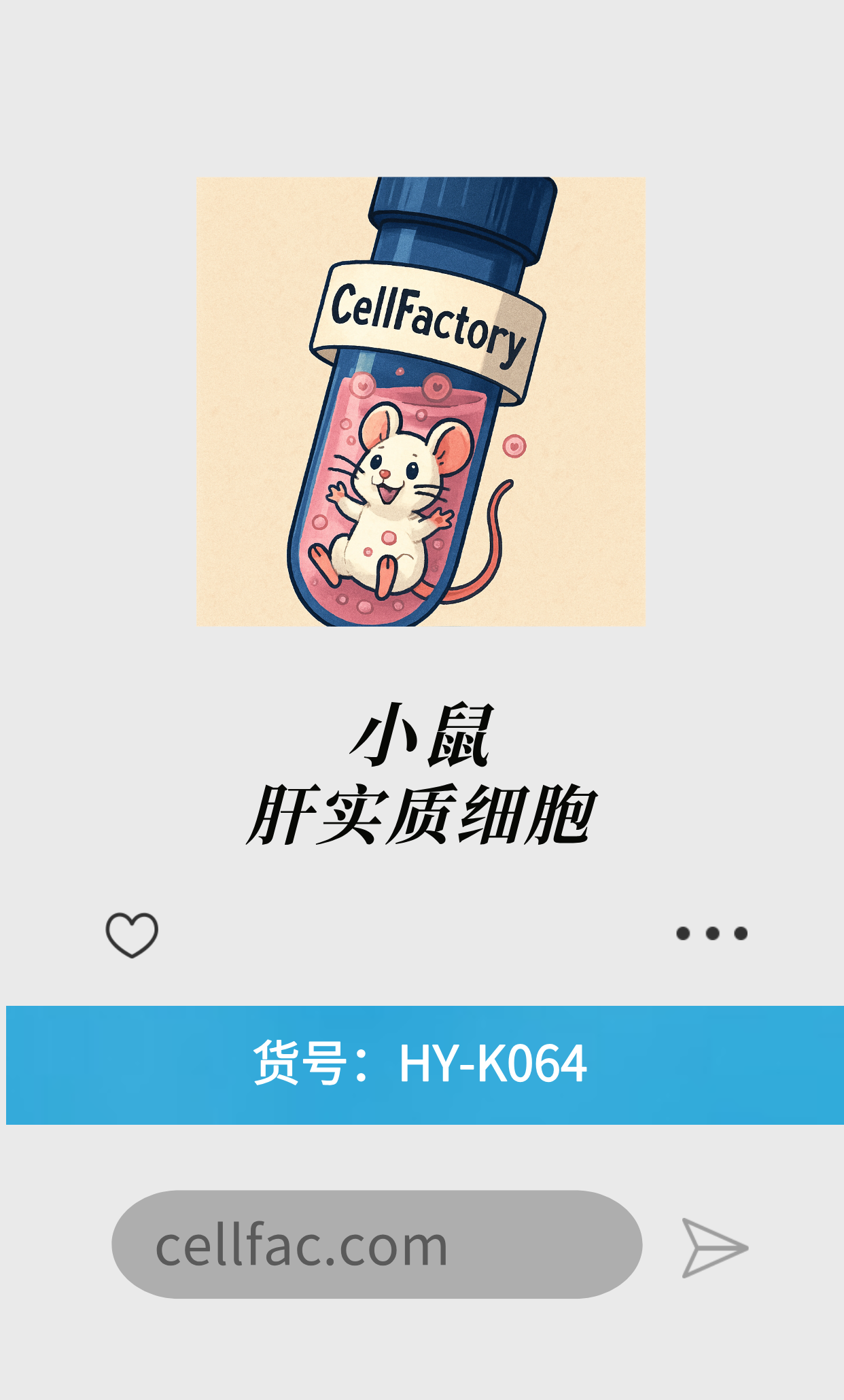  小鼠原代肝实质细胞