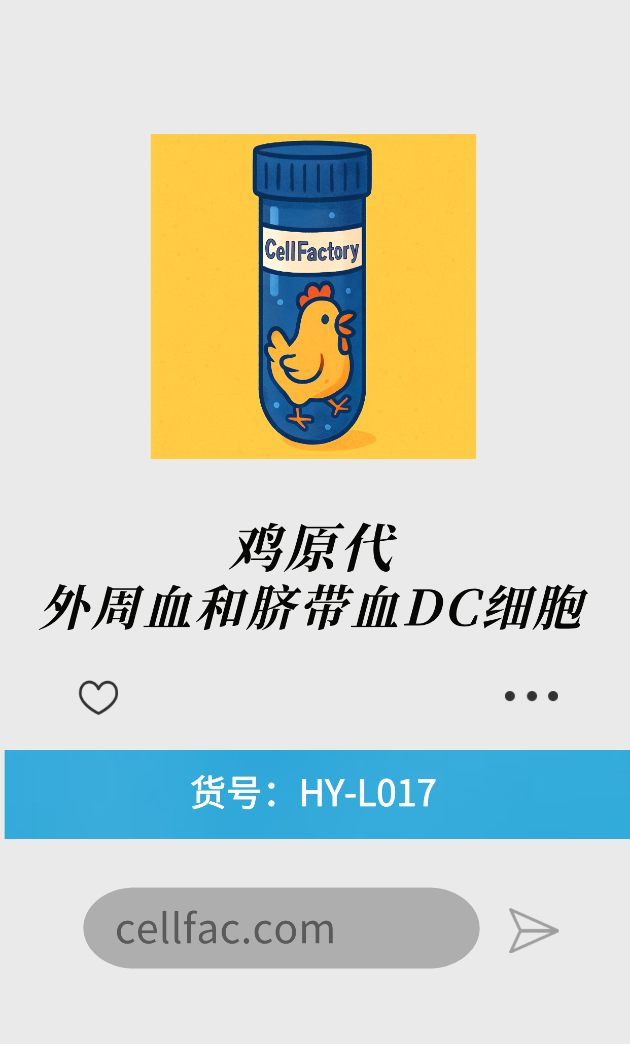  鸡原代外周血和脐带血DC细胞