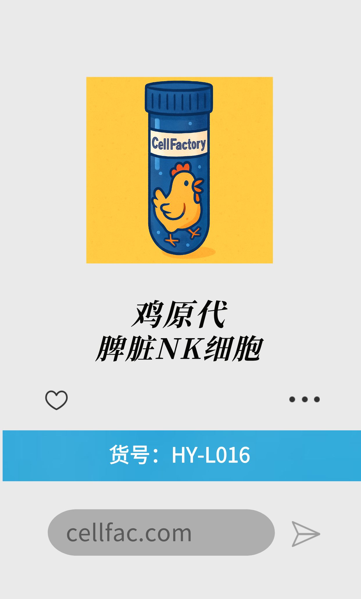  鸡原代脾脏NK细胞