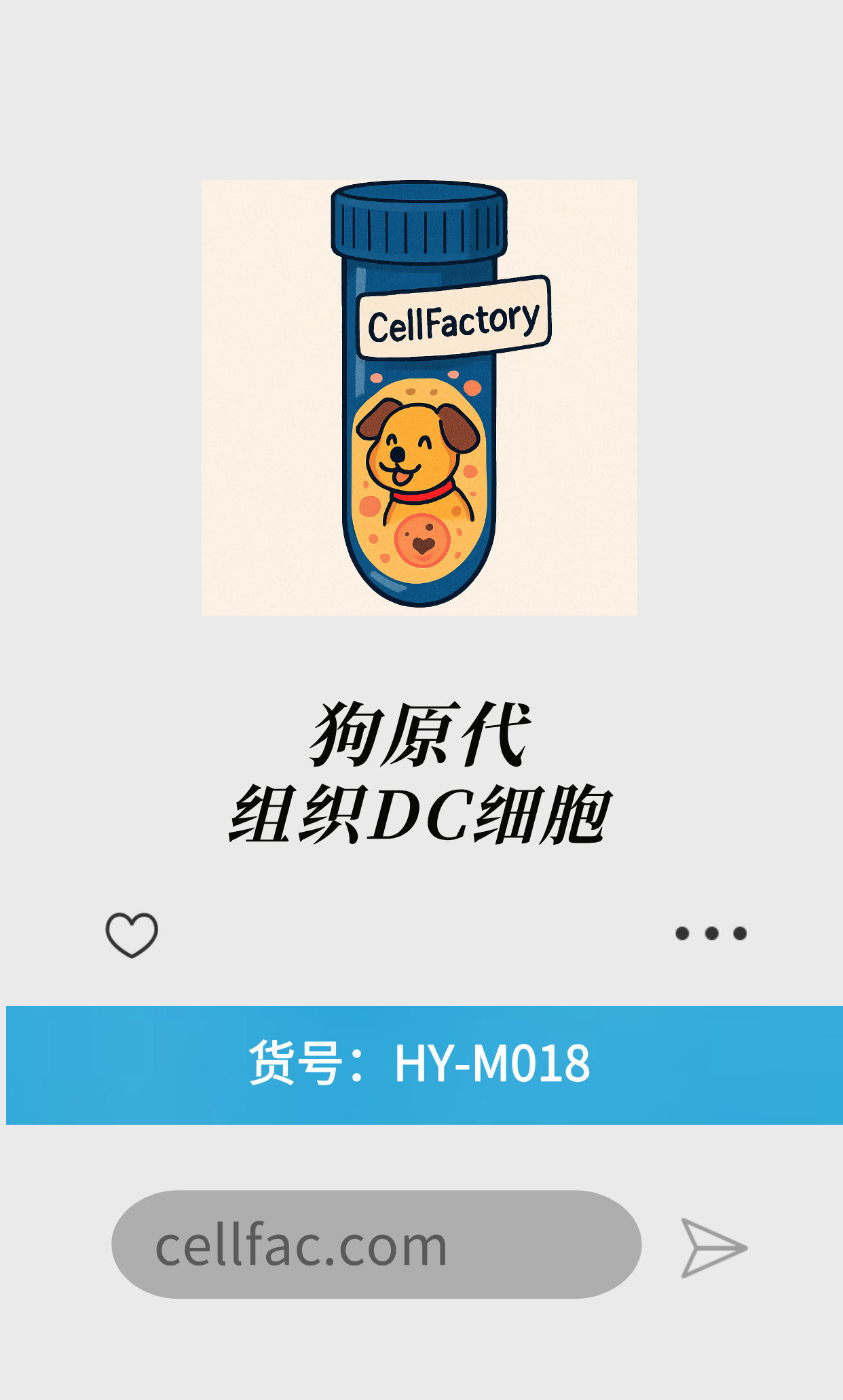  狗原代组织DC细胞