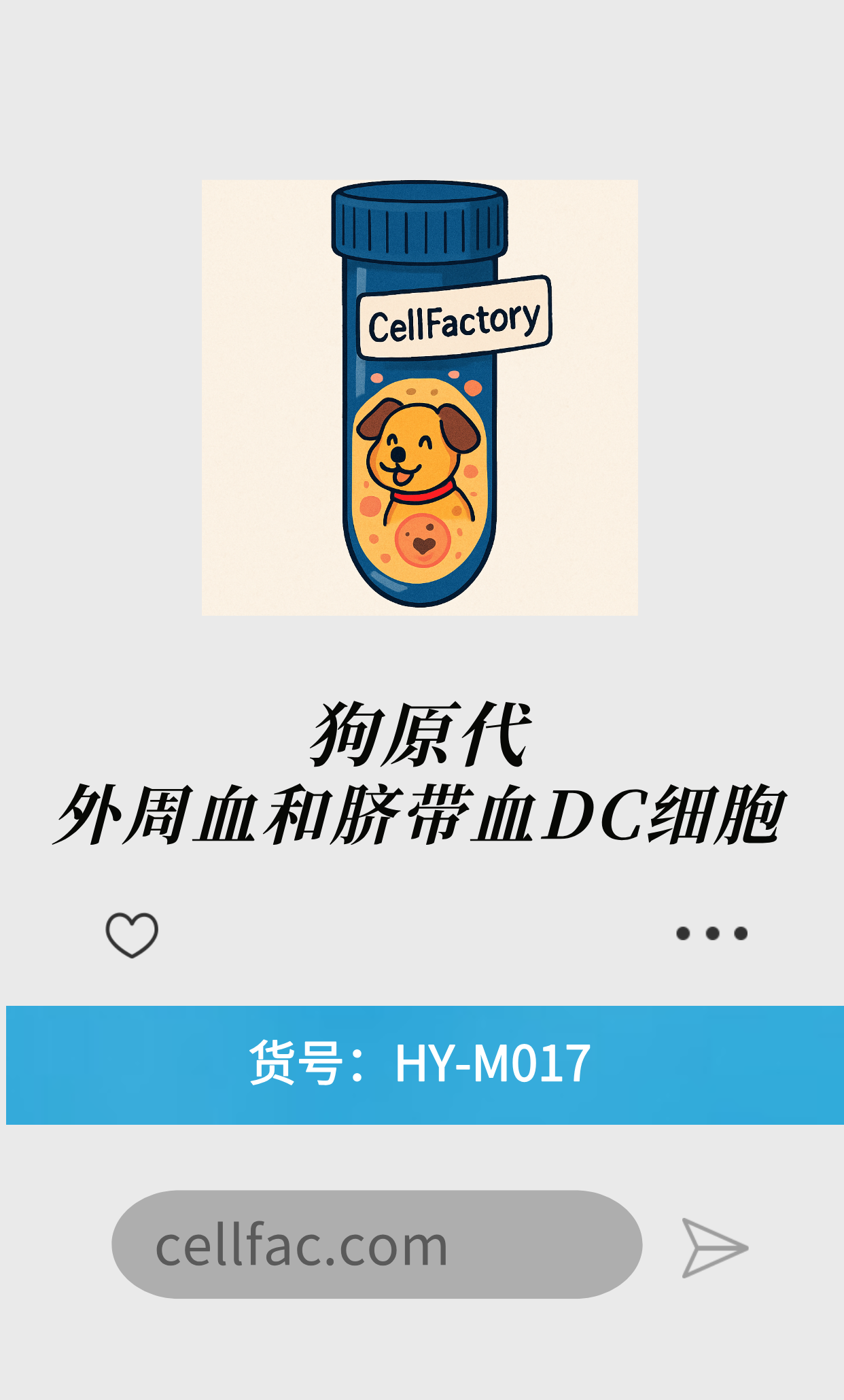  狗原代外周血和脐带血DC细胞