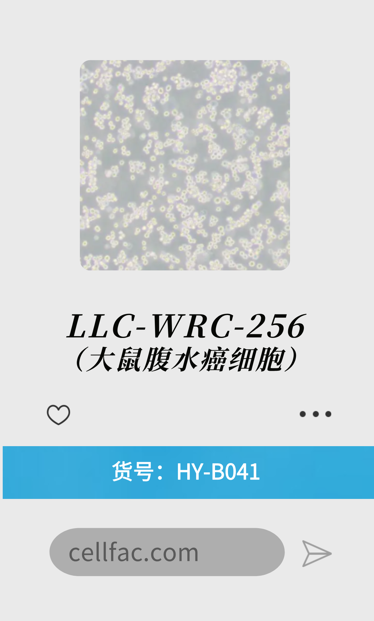  LLC-WRC-256（大鼠腹水癌细胞）