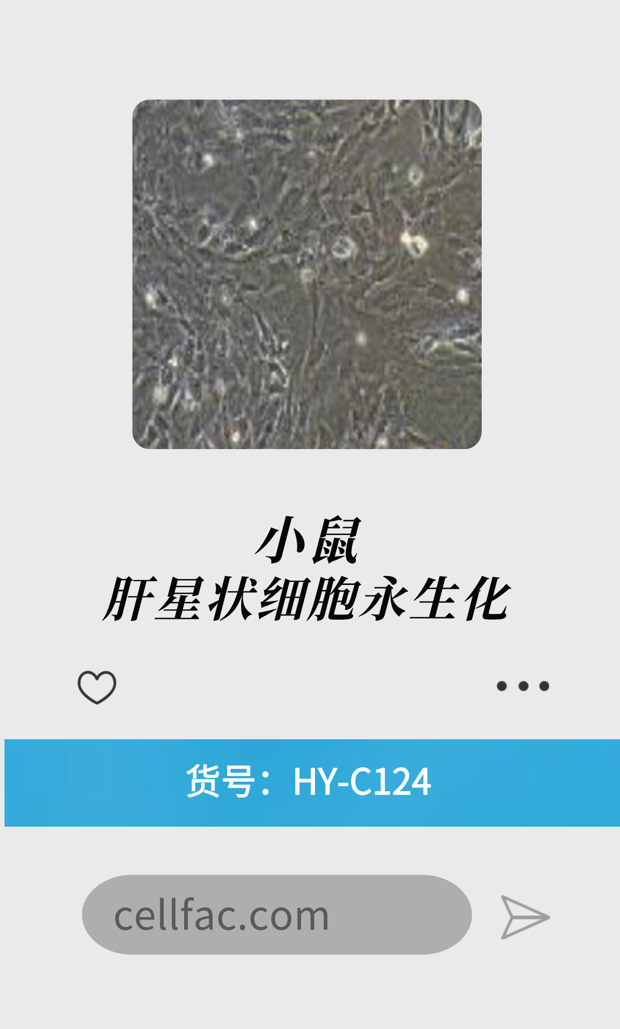  小鼠肝星状细胞永生化