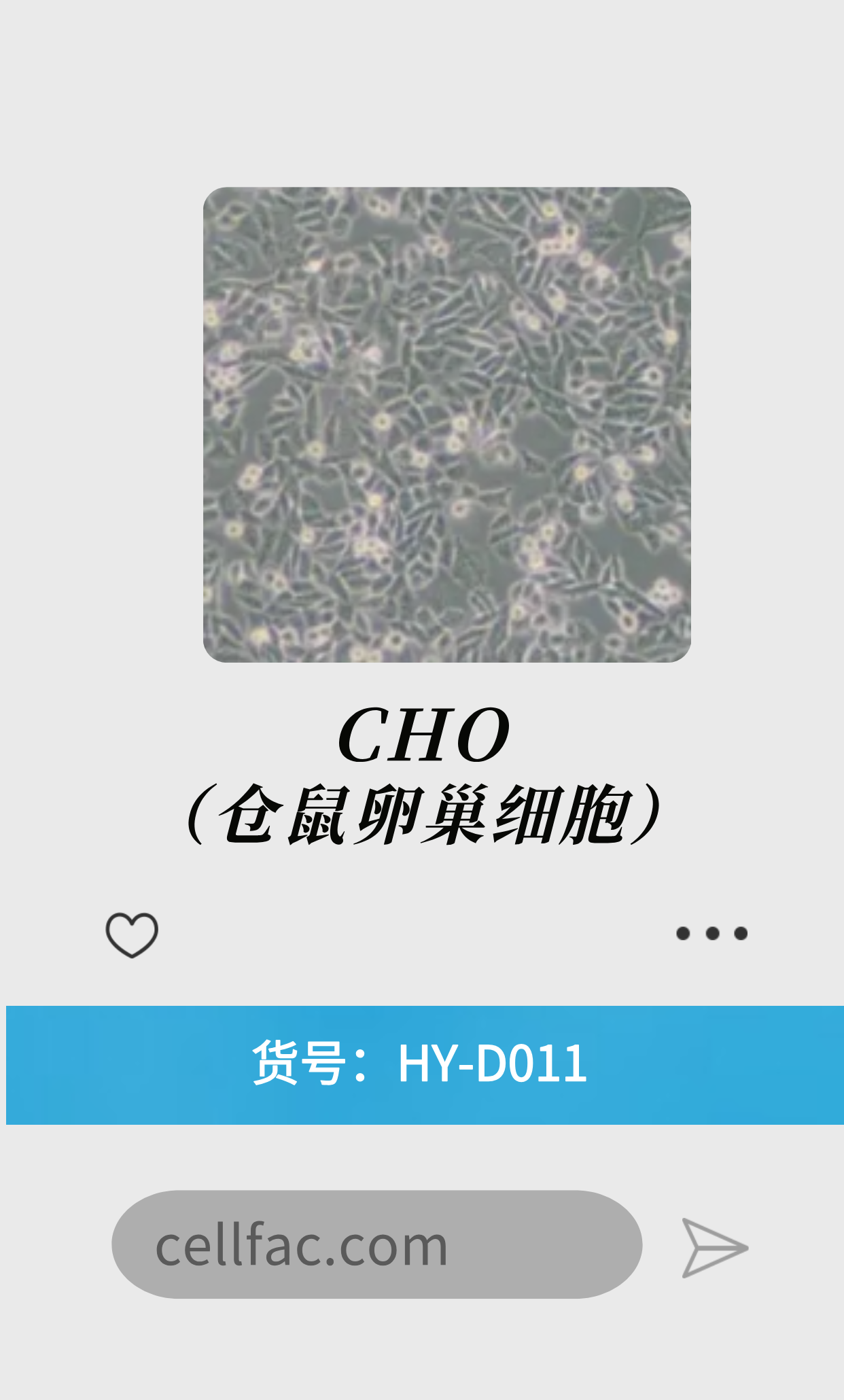  CHO（仓鼠卵巢细胞）