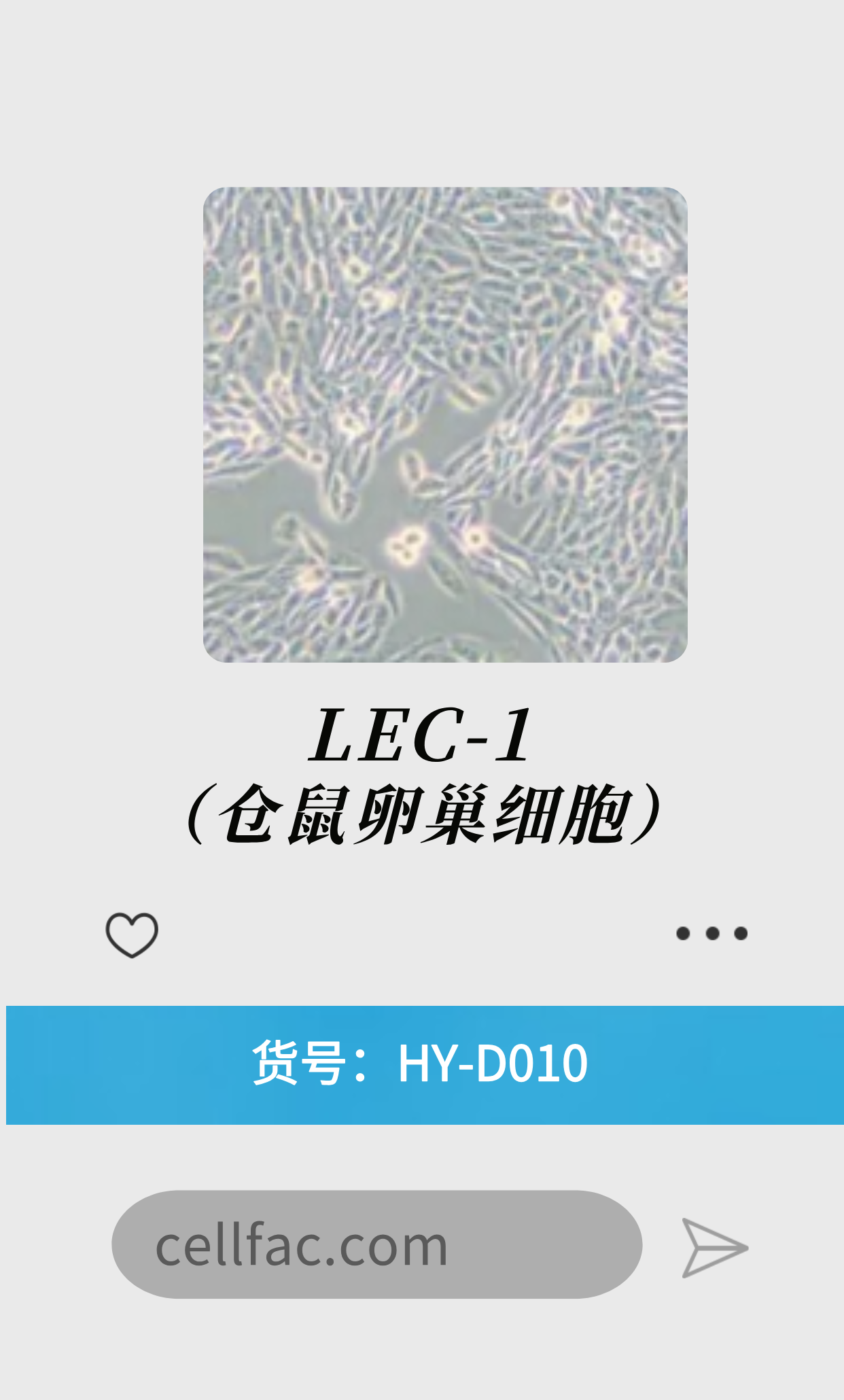  LEC-1（仓鼠卵巢细胞）