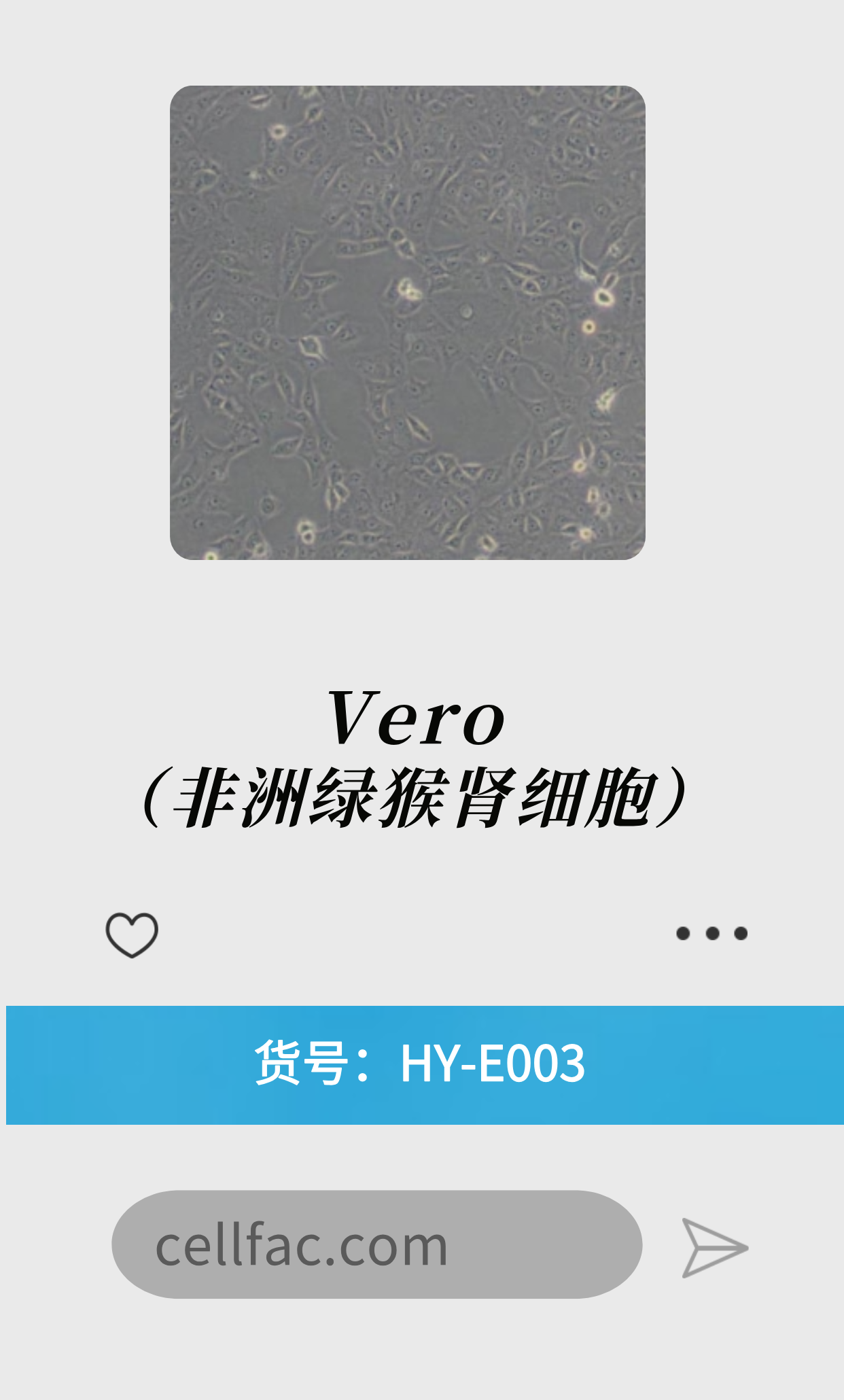  Vero（非洲绿猴肾细胞）