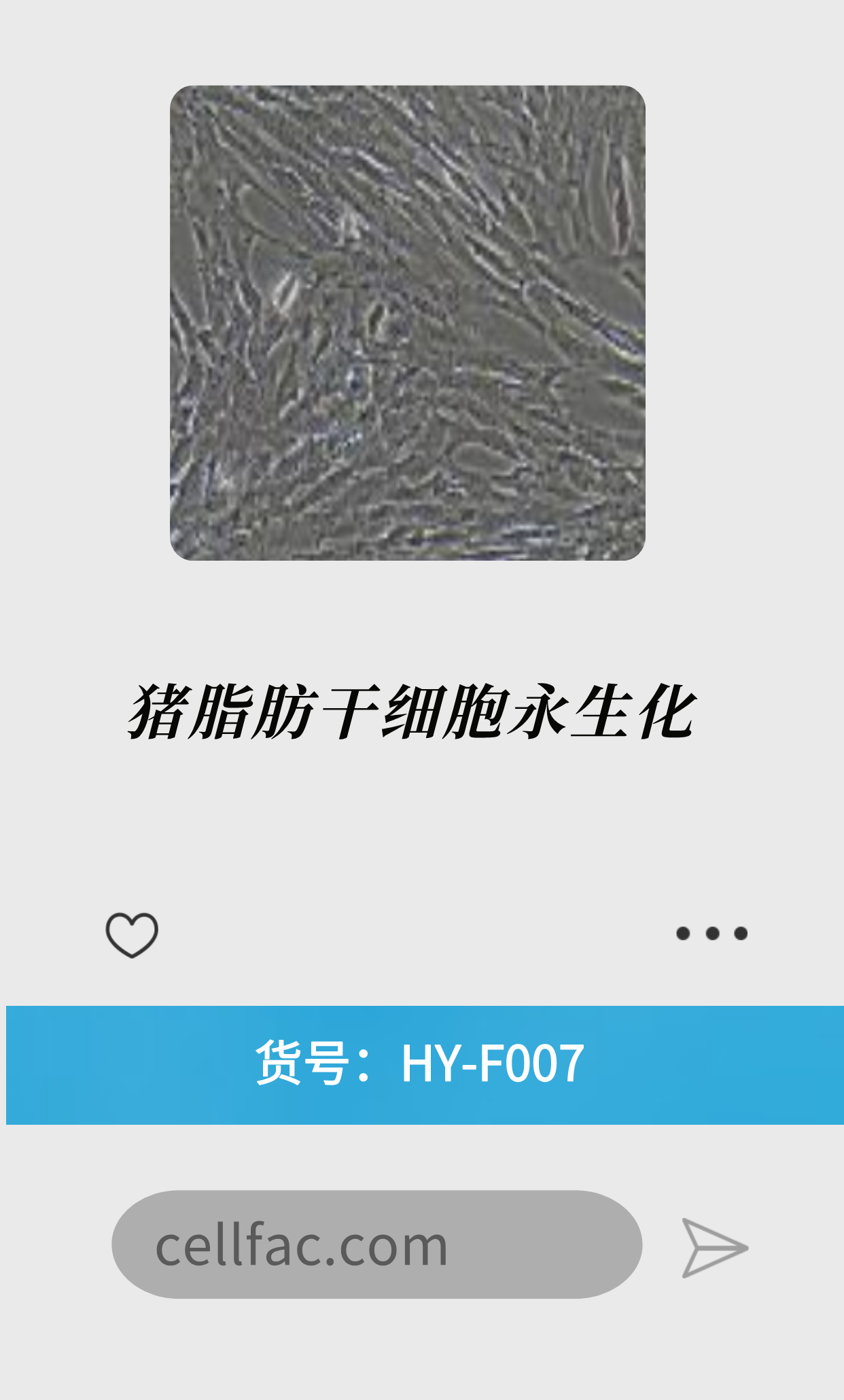  猪脂肪干细胞永生化