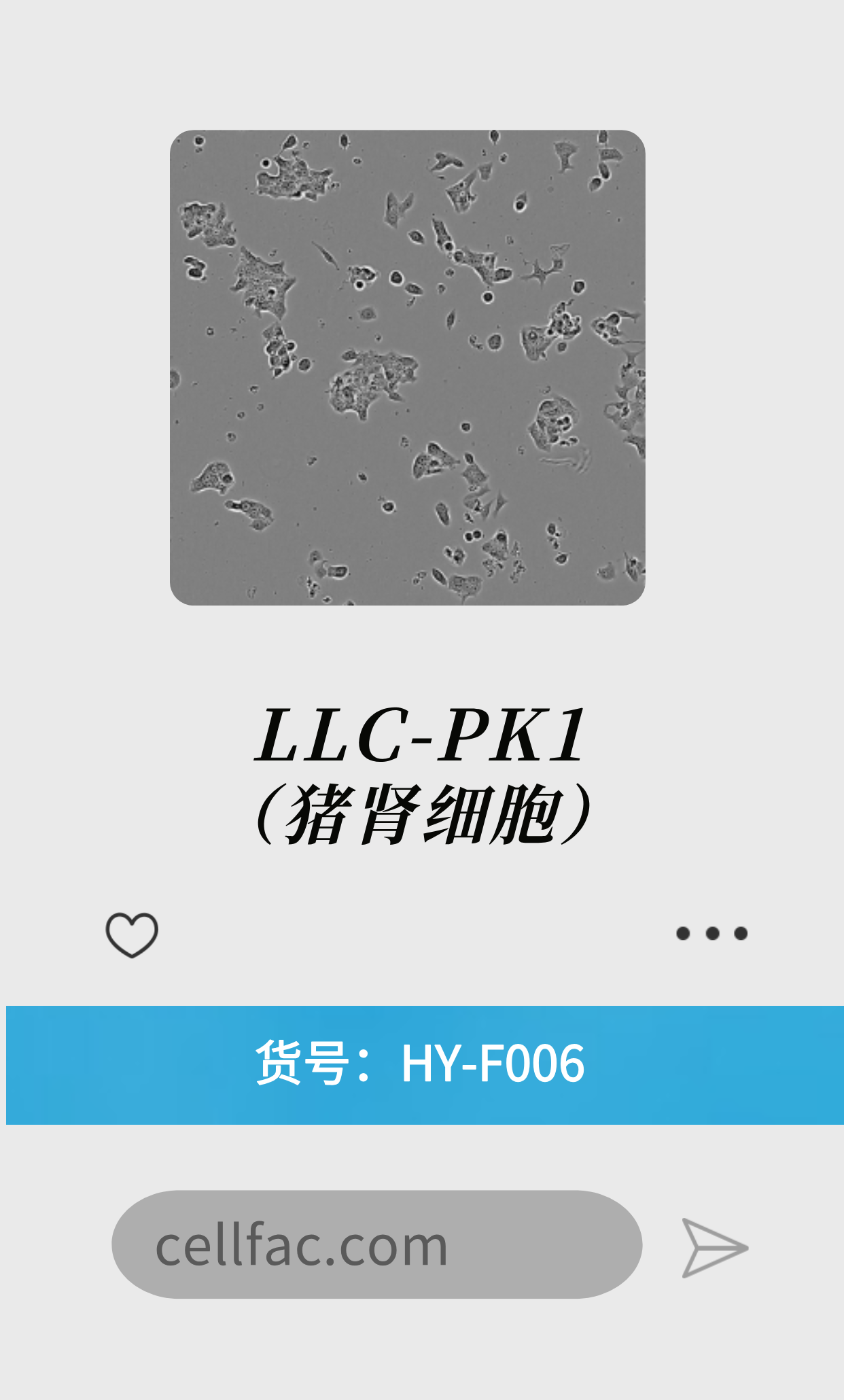  LLC-PK1（猪肾细胞）