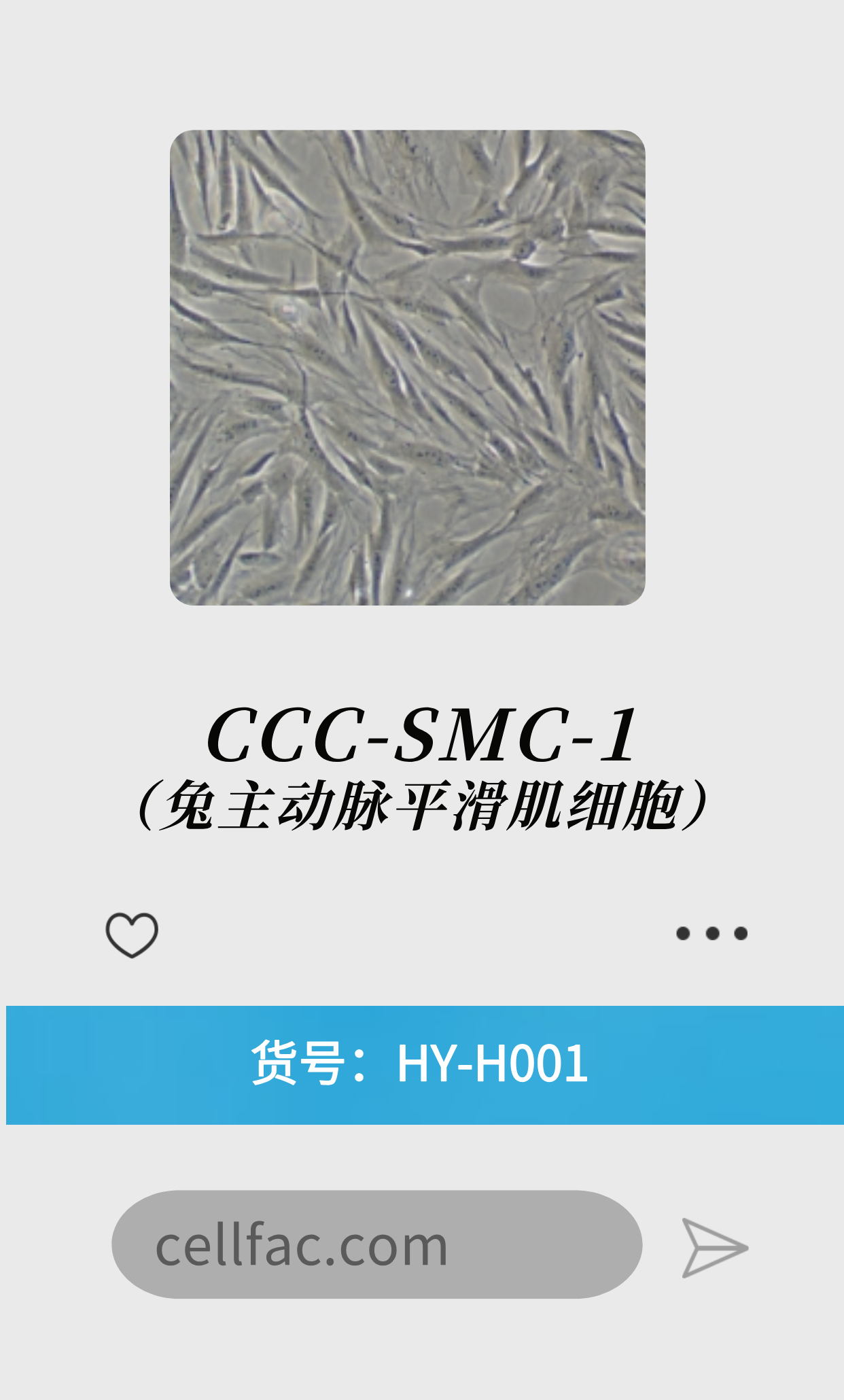  CCC-SMC-1（兔主动脉平滑肌细胞）