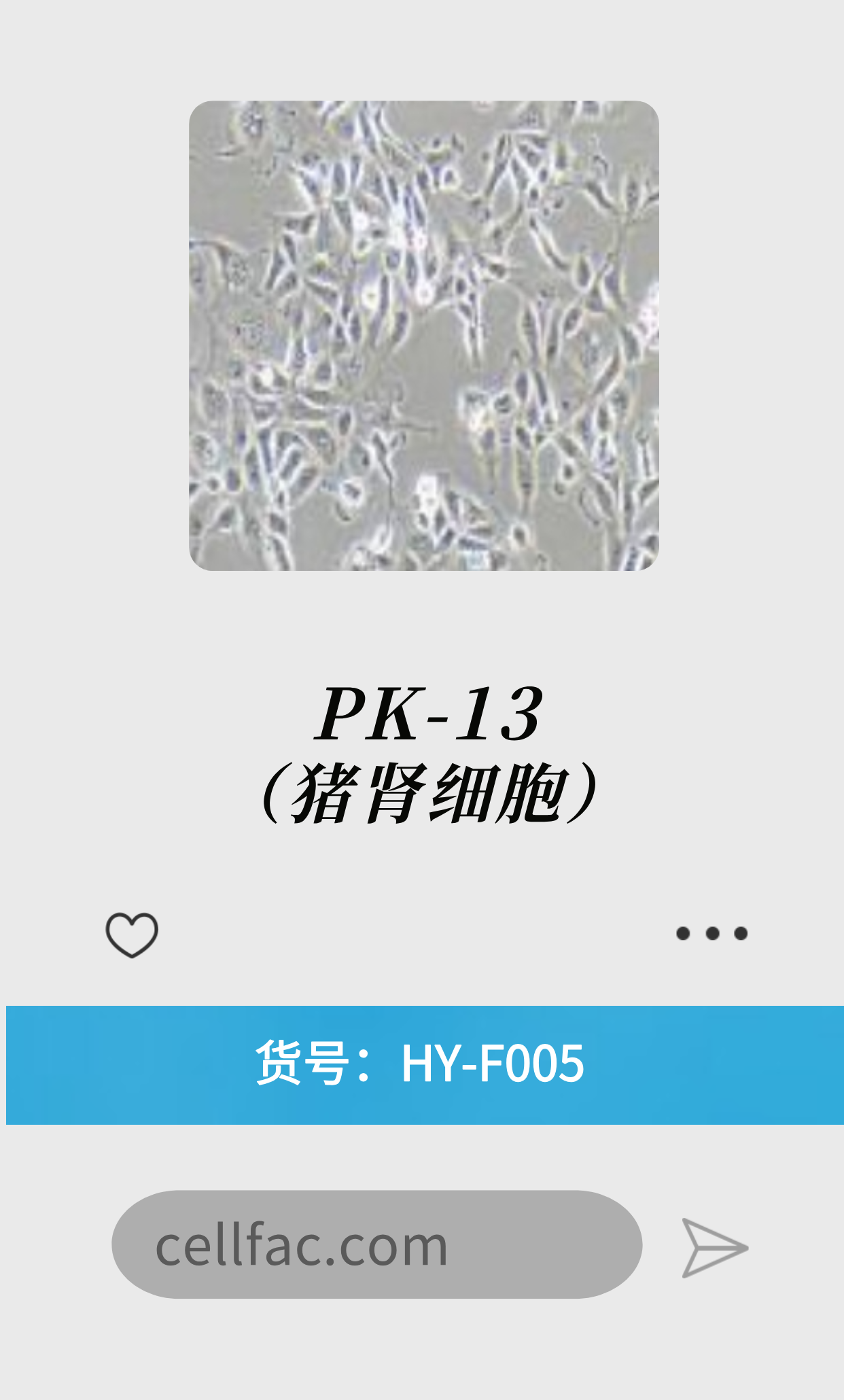  PK-13（猪肾细胞）
