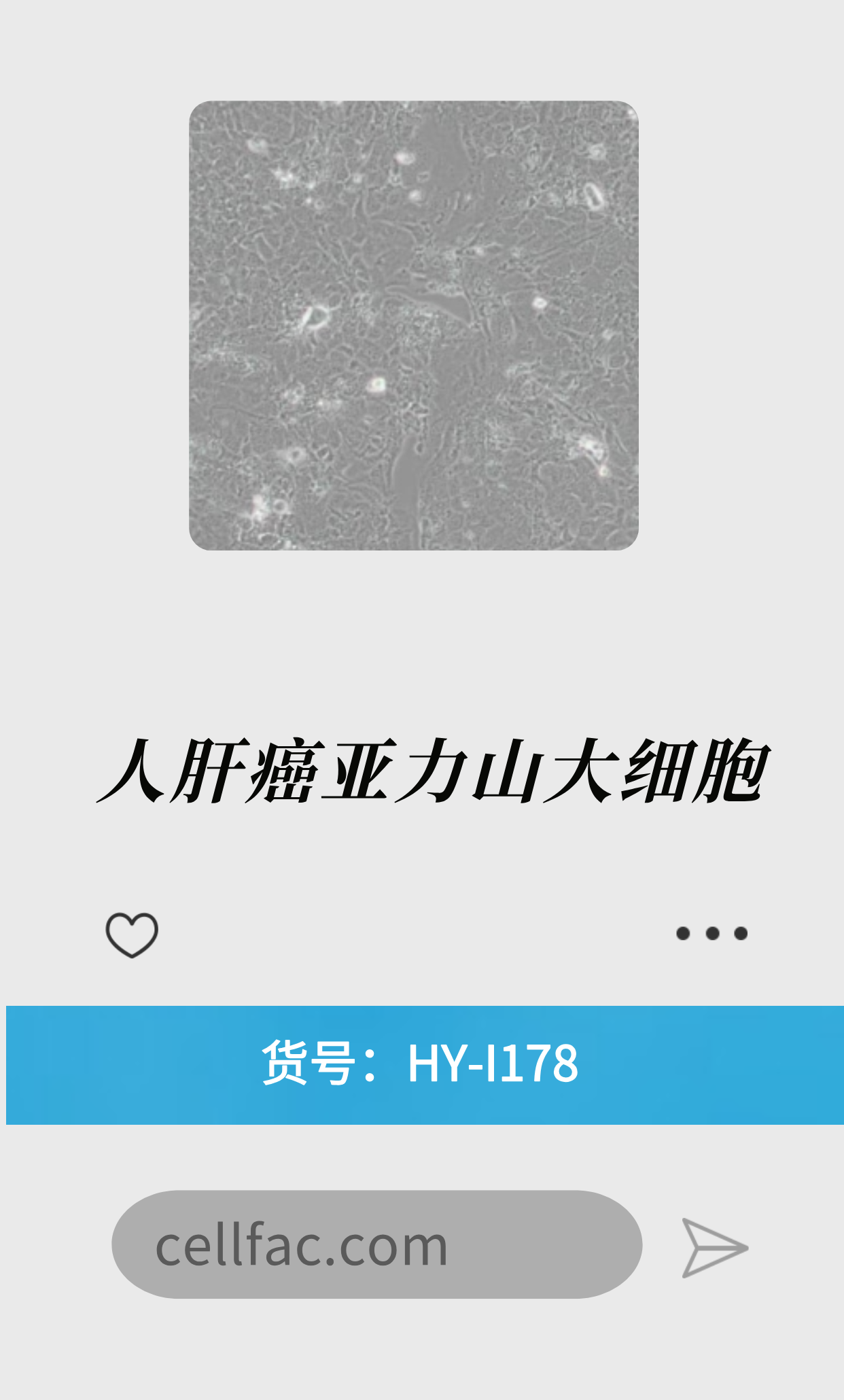  人原代肝癌亚力山大细胞