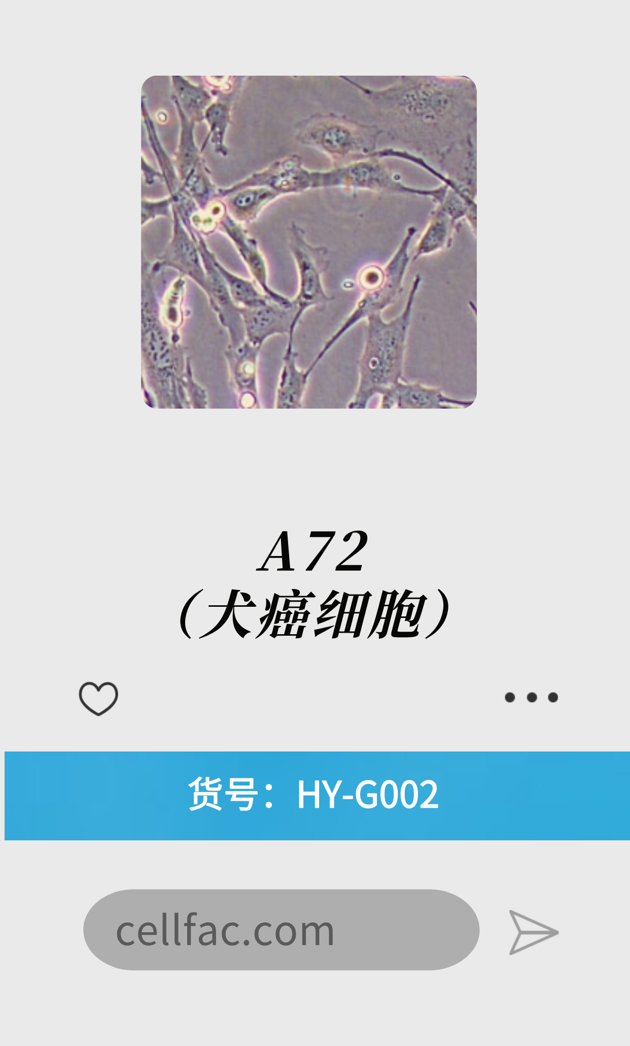  A72（犬癌细胞）