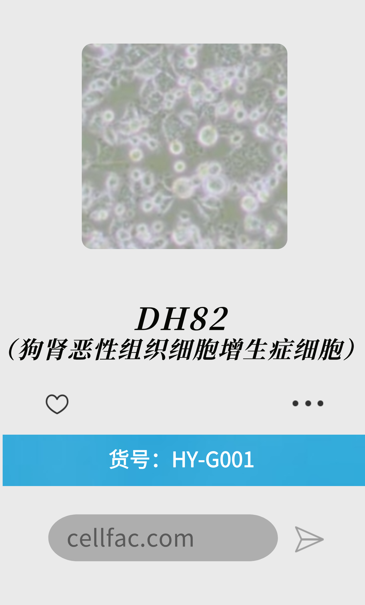  DH82（狗肾恶性组织细胞增生症细胞）