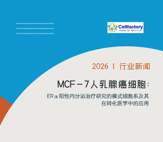 MCF-7人乳腺癌细胞：ERα阳性内分泌治疗研究的模式细胞系及其在转化医学中的应用