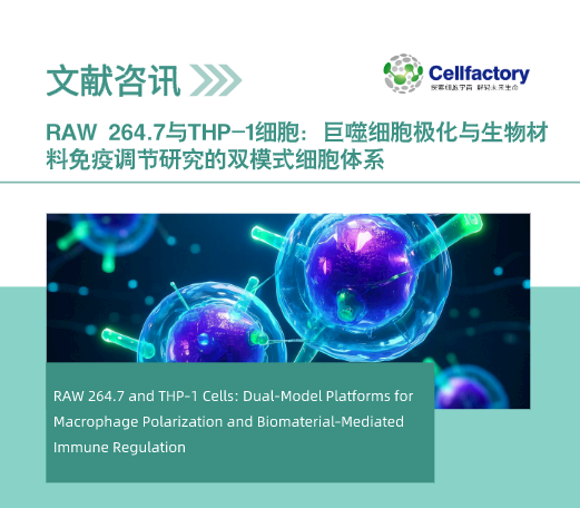 RAW 264.7与THP-1细胞：巨噬细胞极化与生物材料免疫调节研究的双模式细胞体系