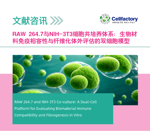 RAW 264.7与NIH-3T3细胞共培养体系：生物材料免疫相容性与纤维化体外评估的双细胞模型