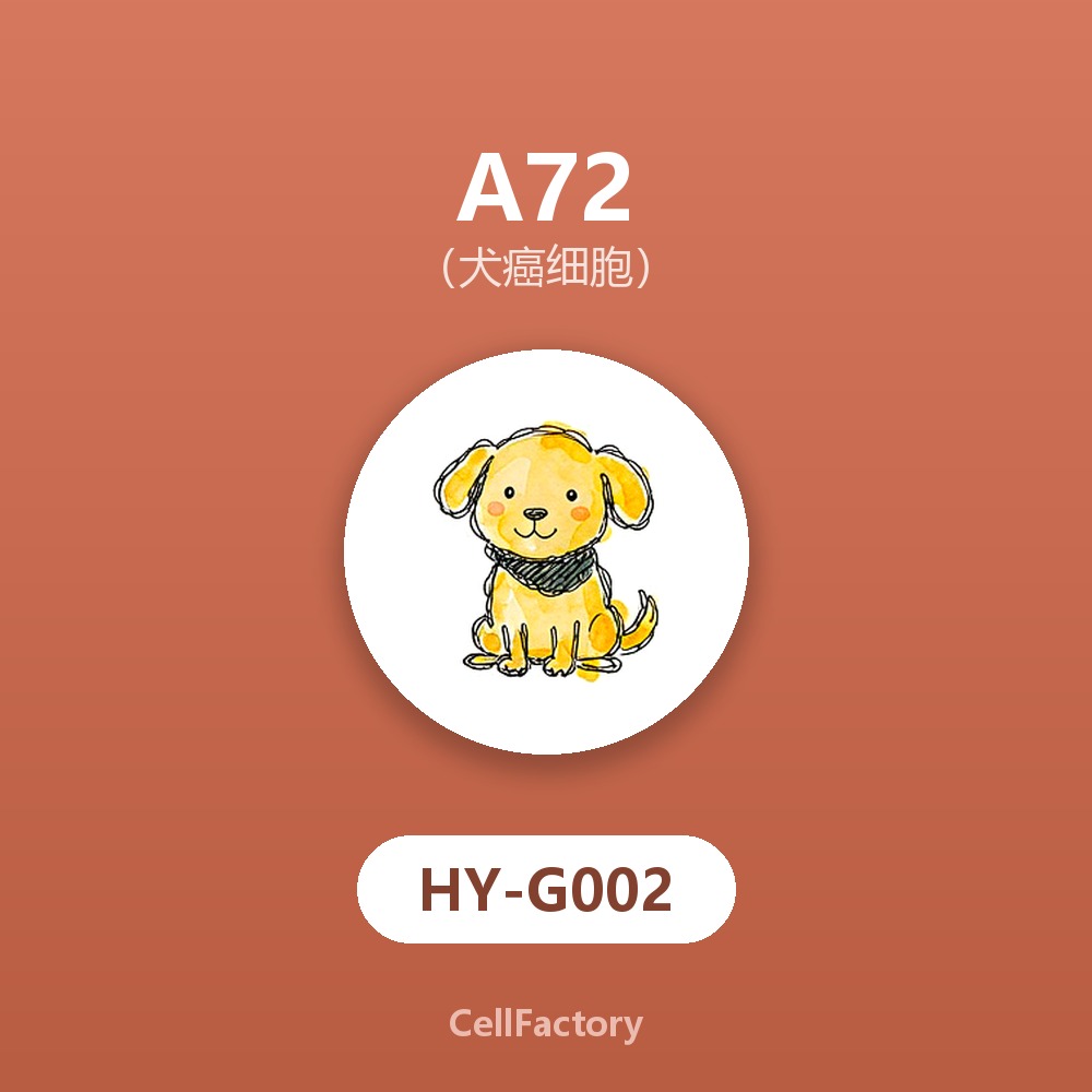  A72（犬癌细胞）